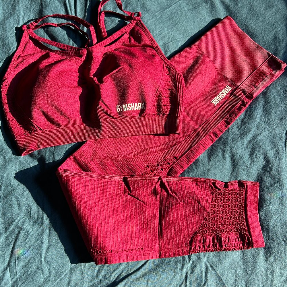 Gymshark Set Energy+ Seamless Legging (M) and Sports Bra (L) in Rusty Red